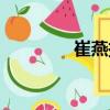 崔燕振（关于崔燕振简介）