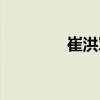 崔洪军（关于崔洪军简介）