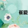 崔爱国（关于崔爱国简介）
