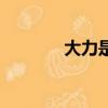 大力是什么意思（大力解释）