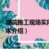 建筑施工现场实用电工技术（关于建筑施工现场实用电工技术介绍）