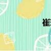 崔瑾（关于崔瑾简介）