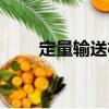 定量输送机（关于定量输送机介绍）