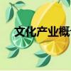 文化产业概论（关于文化产业概论简介）