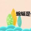 蜿蜒是什么意思（蜿蜒的意思）