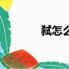 弑怎么读音（表示什么意思）