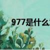 977是什么意思这是啥（977是什么梗）