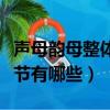声母韵母整体认读音节（声母韵母整体认读音节有哪些）