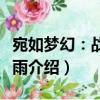 宛如梦幻：战国风雨（关于宛如梦幻：战国风雨介绍）