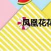 凤凰花花语（凤凰花花语是什么）