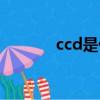 ccd是什么（ccd是什么意思）