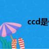 ccd是什么（ccd是什么意思）