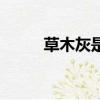 草木灰是什么（草木灰专业解释）