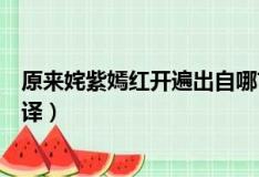 原来姹紫嫣红开遍出自哪首诗（原来姹紫嫣红开遍原文及翻译）