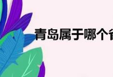 青岛属于哪个省（两点带你了解）