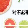 对不起歌词（对不起完整版歌词）
