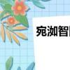 宛洳智障（关于宛洳智障介绍）