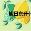 旭日东升什么意思（旭日东升的解释）