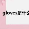 gloves是什么意思中文（gloves单词例句）