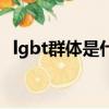 lgbt群体是什么意思啊（lgbt群体的解释）