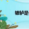 辘轳是什么意思（辘轳的含义）