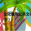 文化馆与公共文化服务论（关于文化馆与公共文化服务论简介）