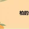 柏的读音（柏字怎么读音）