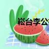 崧台李公祠（关于崧台李公祠简介）