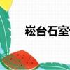 崧台石室记（关于崧台石室记简介）