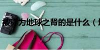 被称为地球之肾的是什么(地球之肾是什么)
