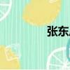张东风（关于张东风介绍）