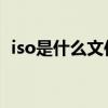 iso是什么文件（ISO格式文件特点是什么）
