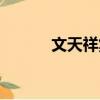 文天祥集（关于文天祥集简介）
