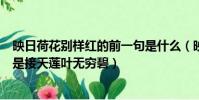 映日荷花别样红的前一句是什么(映日荷花别样红的前一句是接天莲叶无穷碧)