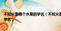 不知火是哪个水果的学名(不知火是我们常吃的哪种水果的学名)