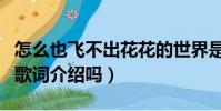 怎么也飞不出花花的世界是什么歌(有详细的歌词介绍吗)