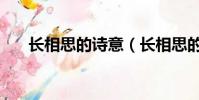 长相思的诗意(长相思的诗意是什么)
