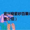 宜兴窑紫砂百果诗句砚滴壶（关于宜兴窑紫砂百果诗句砚滴壶介绍）