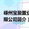 嵊州宝盈置业有限公司（关于嵊州宝盈置业有限公司简介）