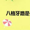 八格牙路是什么意思（八格牙路的含义）