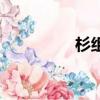 杉组词（杉组词有哪些）
