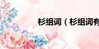 杉组词(杉组词有哪些)