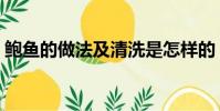 鲍鱼的做法及清洗是怎样的(如何清洗鲍鱼)