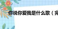 你说你爱我是什么歌(完整歌词介绍)