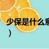 少保是什么意思（少保一职是什么时候设立的）