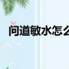 问道敏水怎么加点（问道敏水的加点方法）