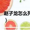 赵子龙怎么死的死在哪（赵云是哪一年去世的）