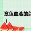 章鱼血液的颜色是什么（章鱼血液的颜色介绍）