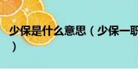 少保是什么意思(少保一职是什么时候设立的)