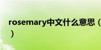rosemary中文什么意思(rosemary的意思)